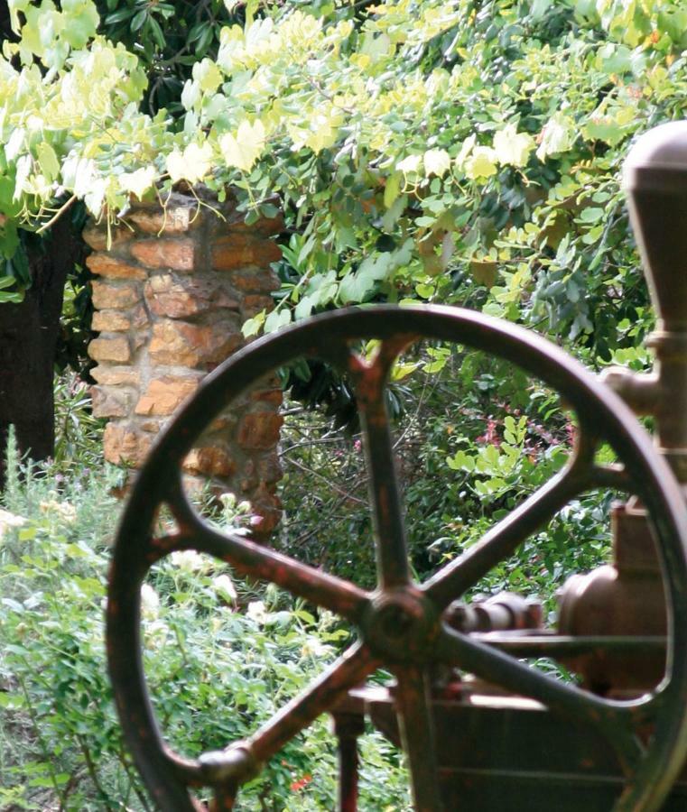 Mooiplaas Wine Estate Apartman Stellenbosch Kültér fotó
