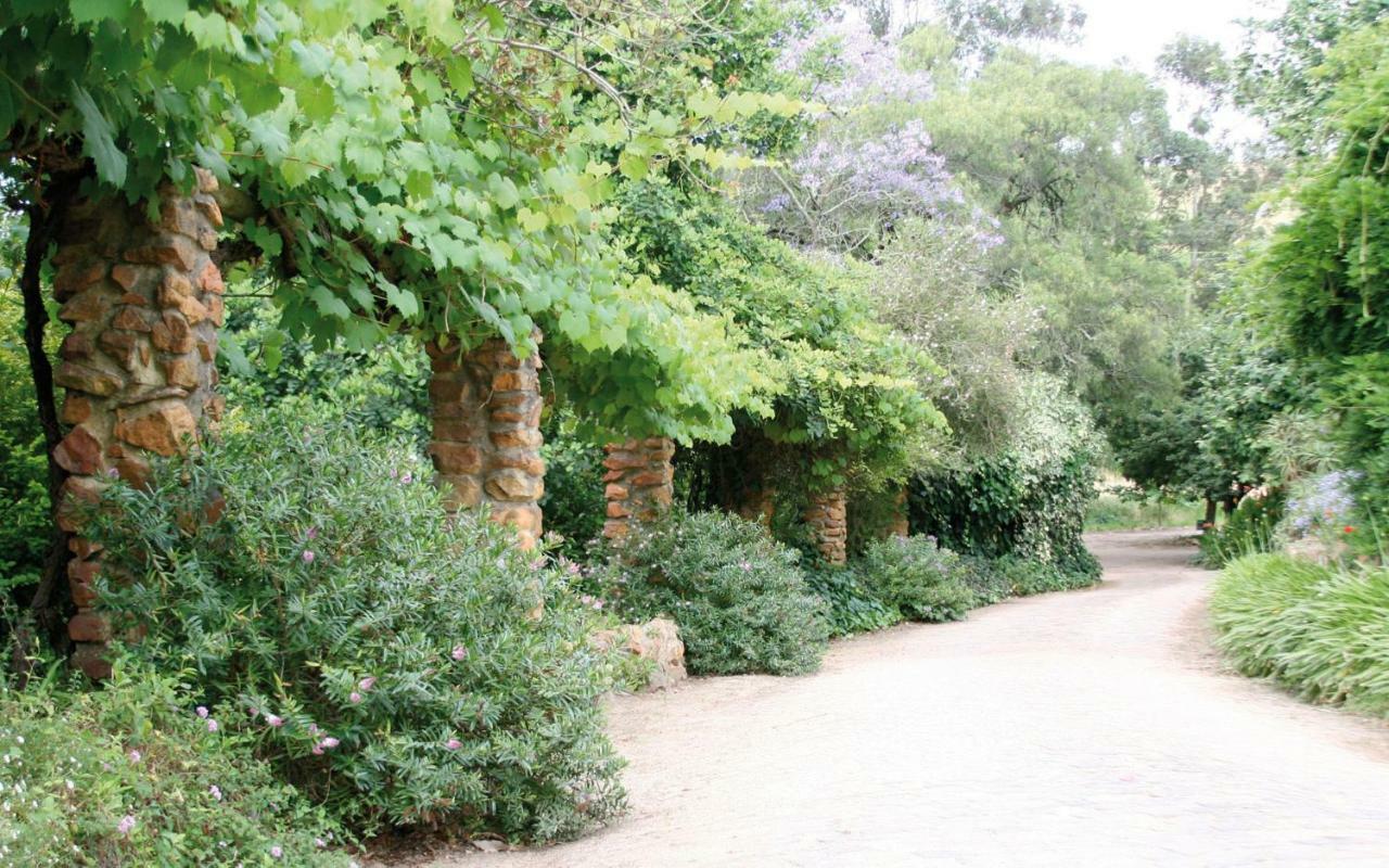 Mooiplaas Wine Estate Apartman Stellenbosch Kültér fotó