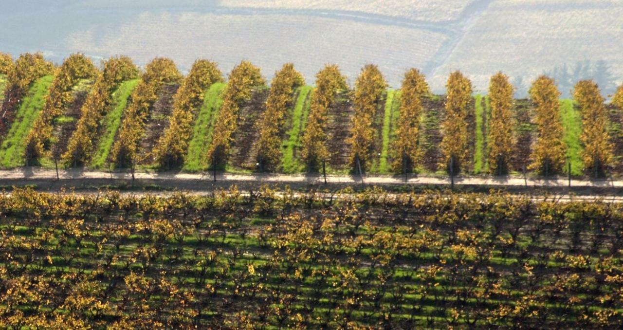 Mooiplaas Wine Estate Apartman Stellenbosch Kültér fotó