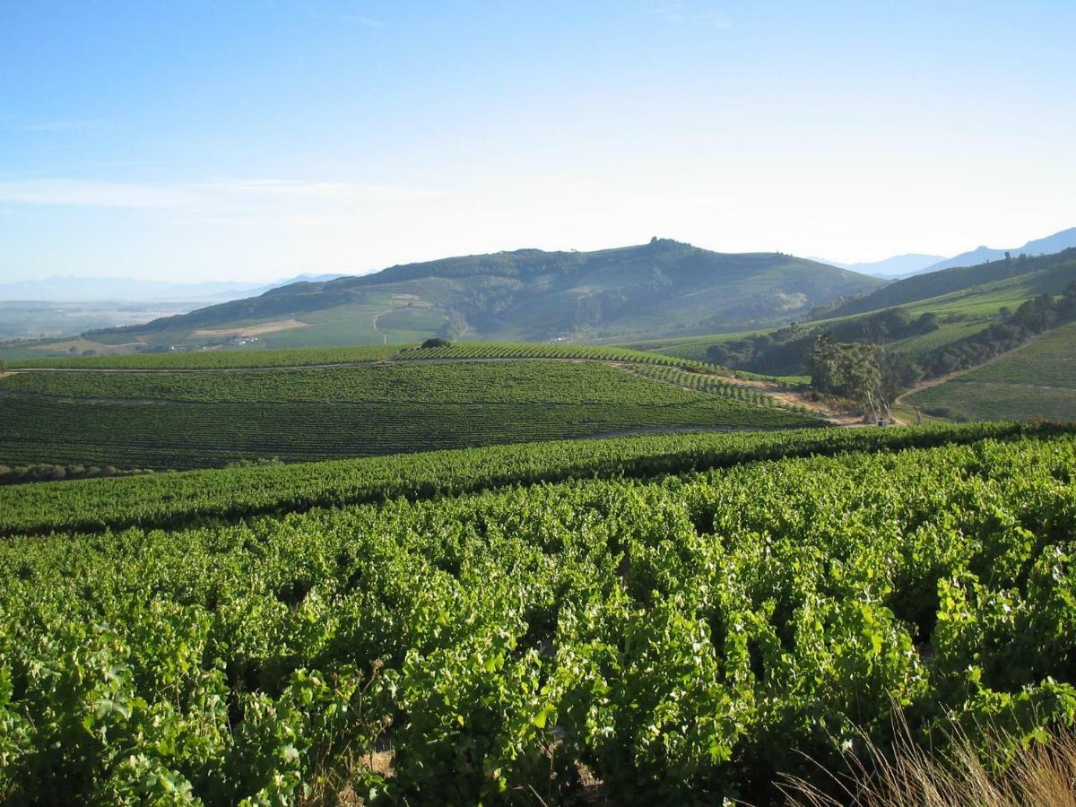 Mooiplaas Wine Estate Apartman Stellenbosch Kültér fotó