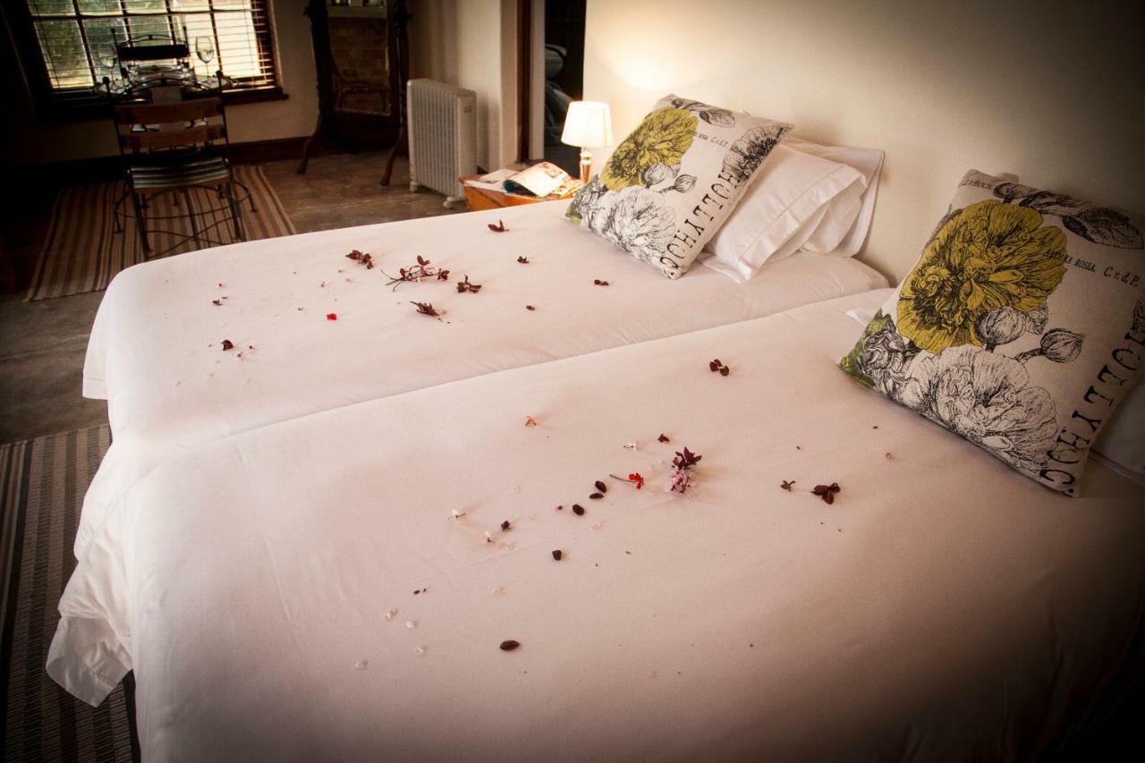 Mooiplaas Wine Estate Apartman Stellenbosch Kültér fotó