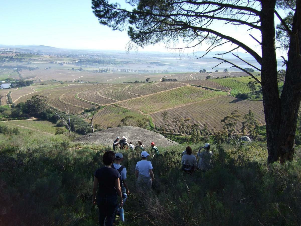 Mooiplaas Wine Estate Apartman Stellenbosch Kültér fotó