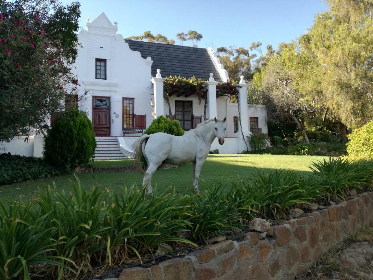 Mooiplaas Wine Estate Apartman Stellenbosch Kültér fotó